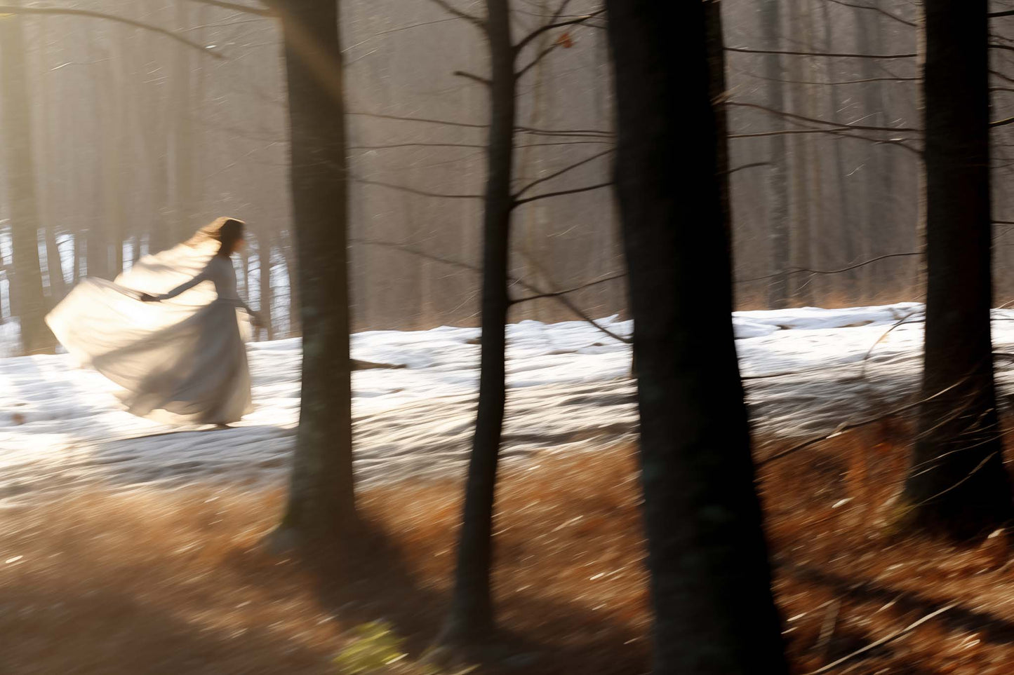 The Fleeing Muse
