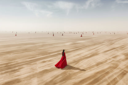 Scarlet Wanderers